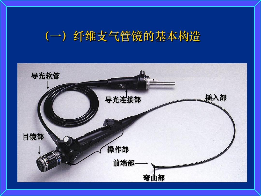 纤维支气管镜2.jpg