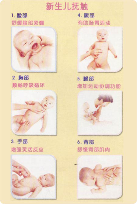 新生儿抚触的顺序.png